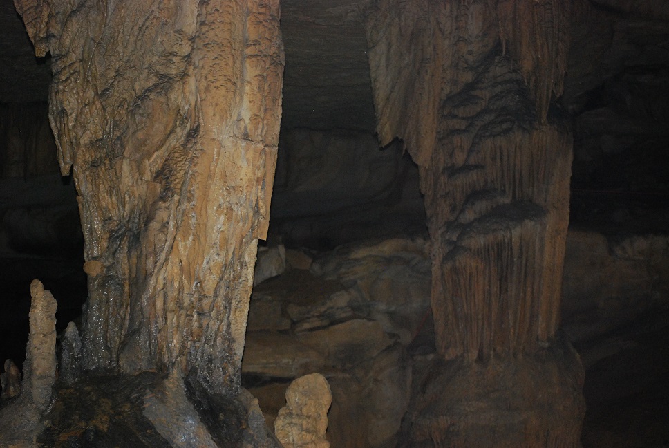 Cavenaut_Cave